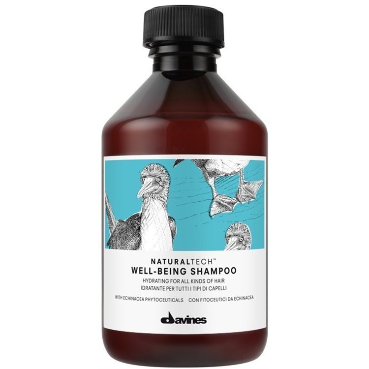 Davines Davines Naturaltech Well Being Shampoo 250ml