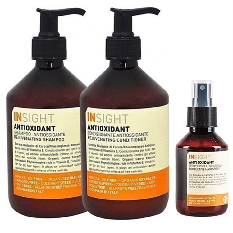 INSight INSight Kit Antioxidant Sun Shampoo + Conditioner + Spray Protettivo