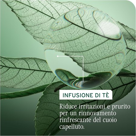 MATRIX Biolage Scalp Sync Anti Darduff Anti-Forfora Shampoo 400ml in Capelli