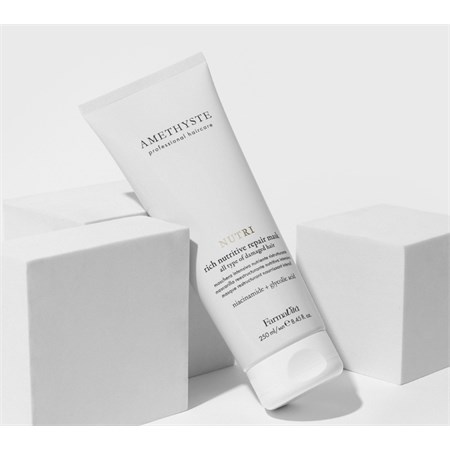 FarmaVita Amethyste Rich Nutritive Repair Mask per Capelli Danneggiati 250ml in Capelli