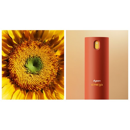 Dyson Omega Balsamo Spray senza Risciacquo - Leave In Lisciante in Capelli